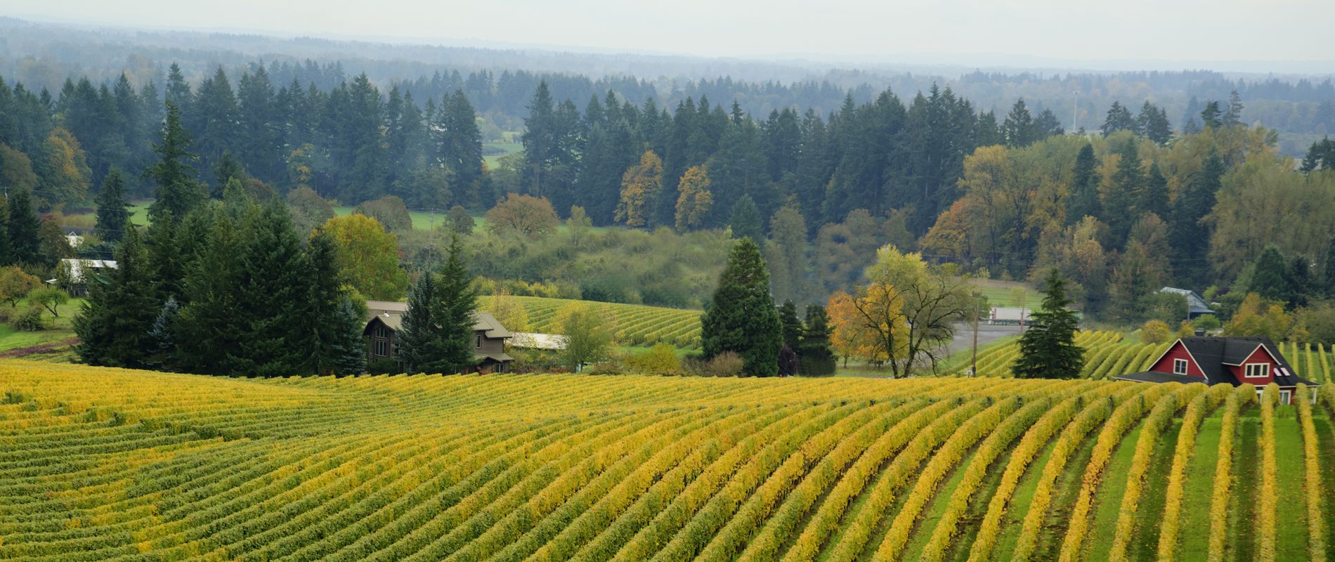 Explore the Mt. Hood Region