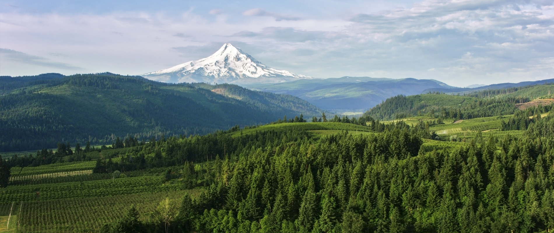 Explore the Mt. Hood Region