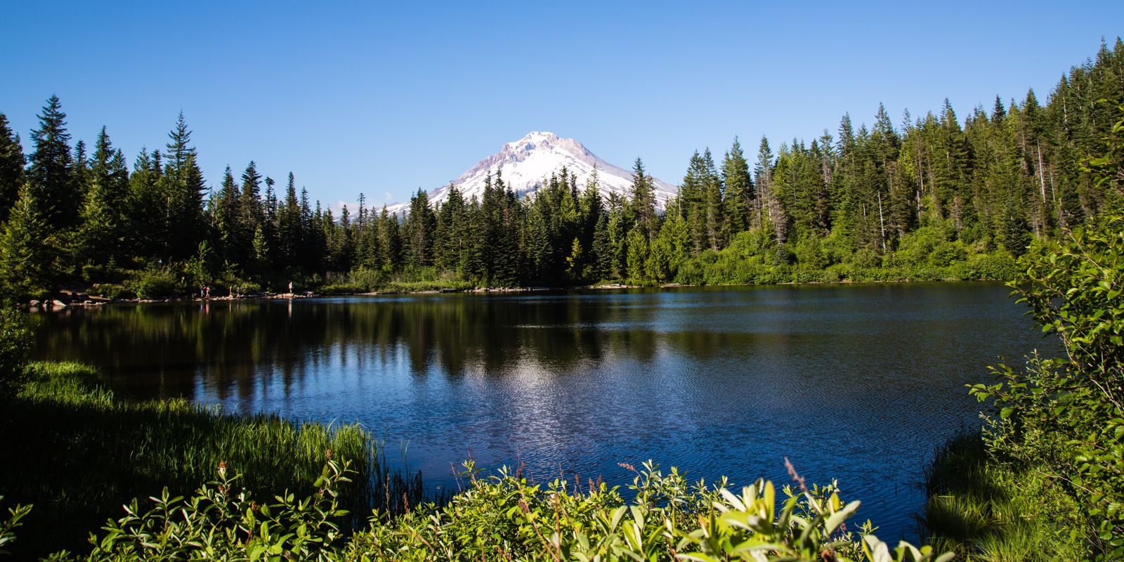 Mt. Hood landscape